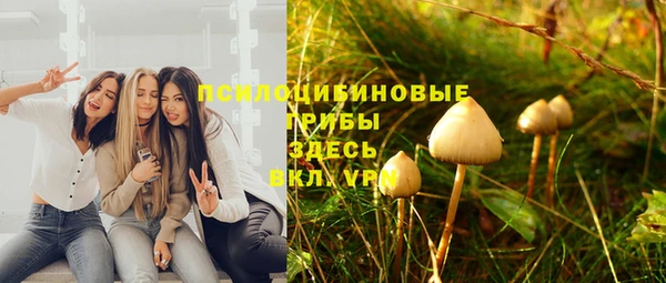 прущая мука Ессентукская