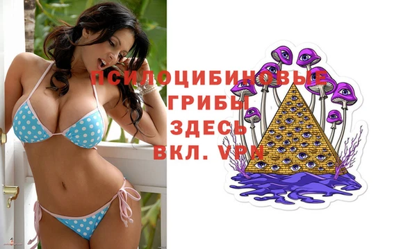 Альфа ПВП Заволжск