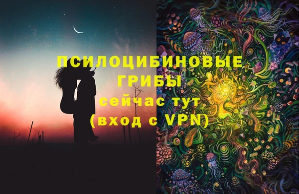 Альфа ПВП Заволжск