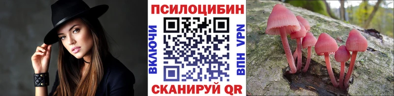 Купить закладки  Заволжье  Галлюциногенные грибы Magic Shrooms 